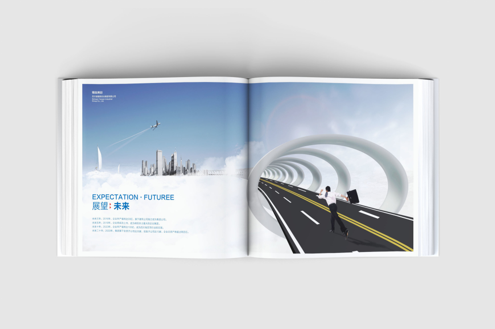 八步区画册设计